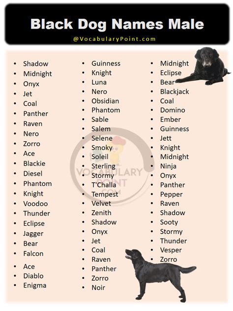 black dog names male